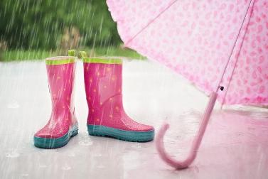 Sneedville Weather Forecast